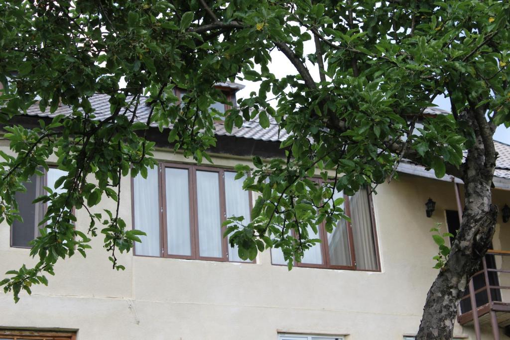 Village House room 3